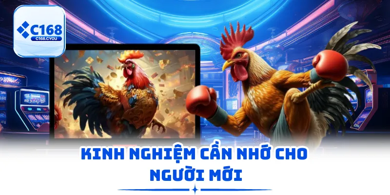 Kinh nghiệm cần nhớ cho người mới